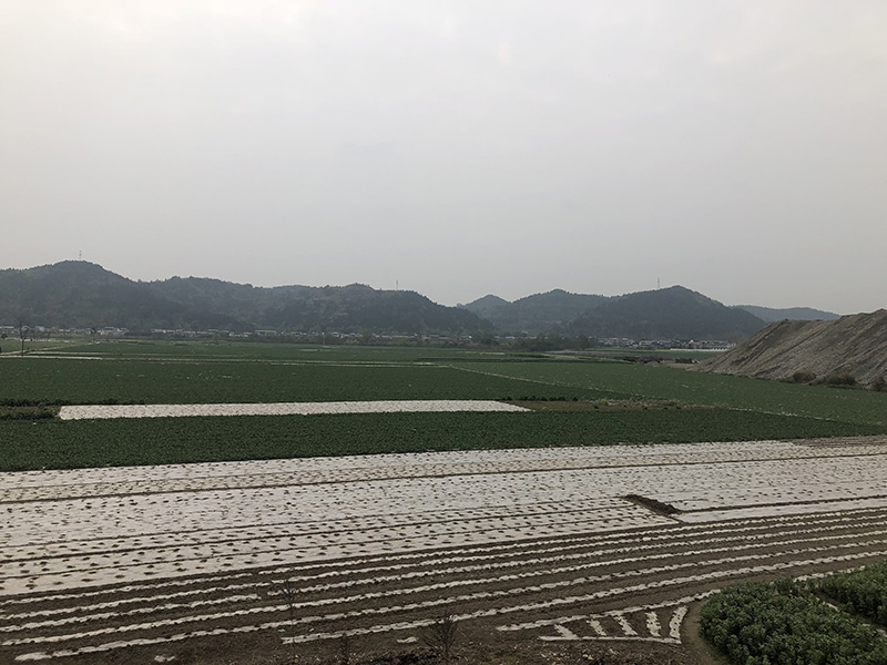 市、縣領(lǐng)導(dǎo)現(xiàn)場(chǎng)調(diào)研天馬50萬(wàn)噸玻瓶項(xiàng)目(圖7)